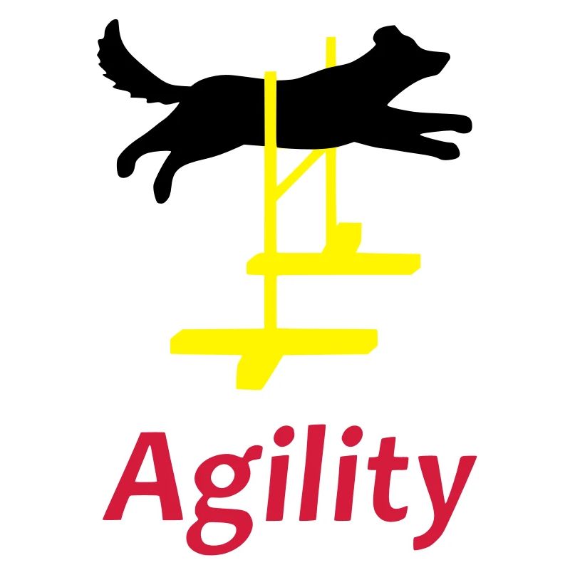 Agility 1