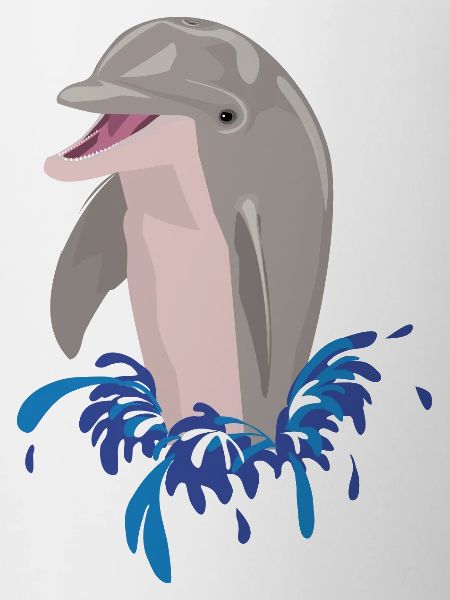Dolphin sea beach splashes