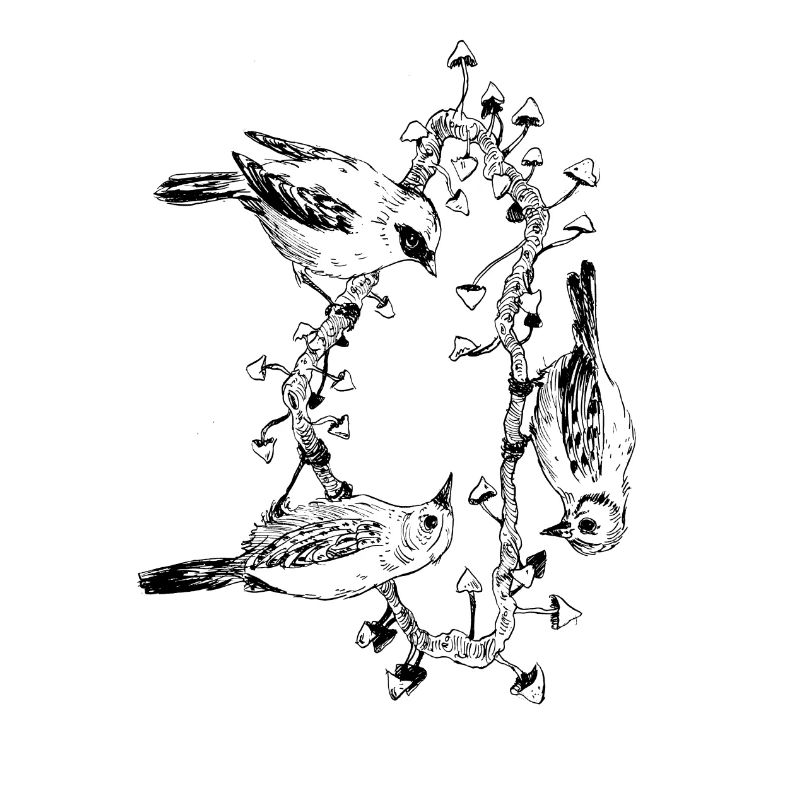 Bird trio / mushrooms / tree