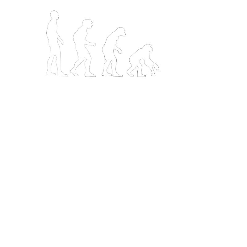 USA Evolution rückwärts