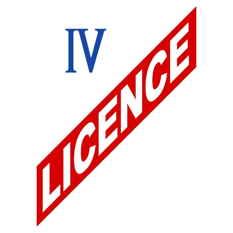 Licence 4