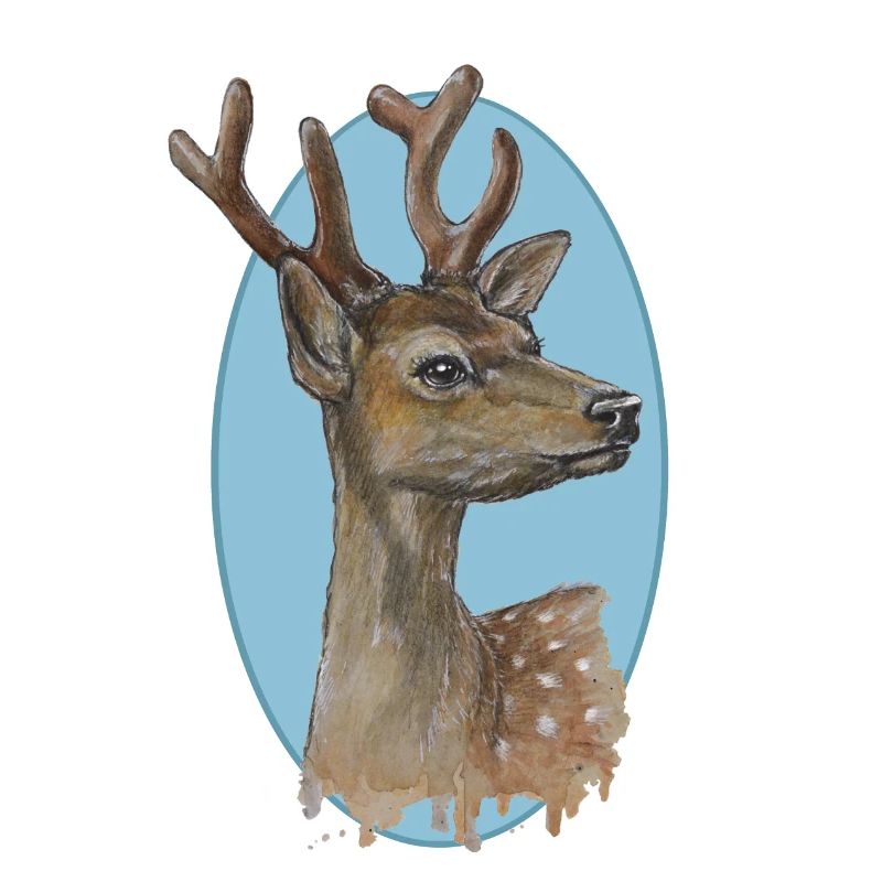 Junger Hirsch - mit sanftem Blick