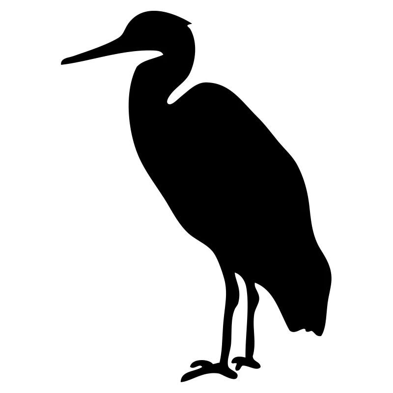Storch Watvogel