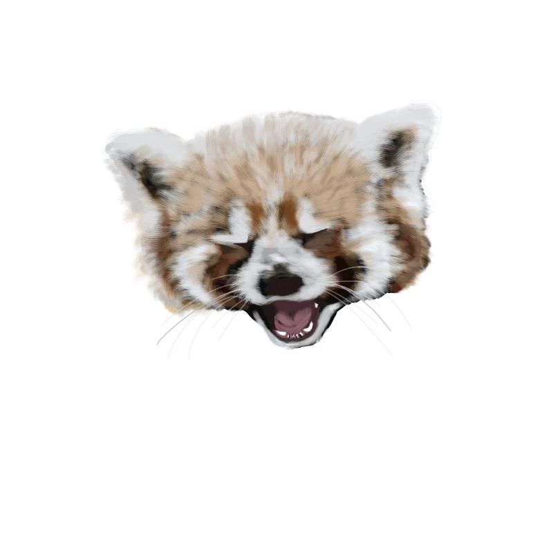 Extrem süßer Katzenbär