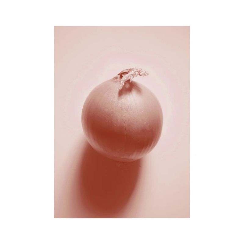 Zwiebel