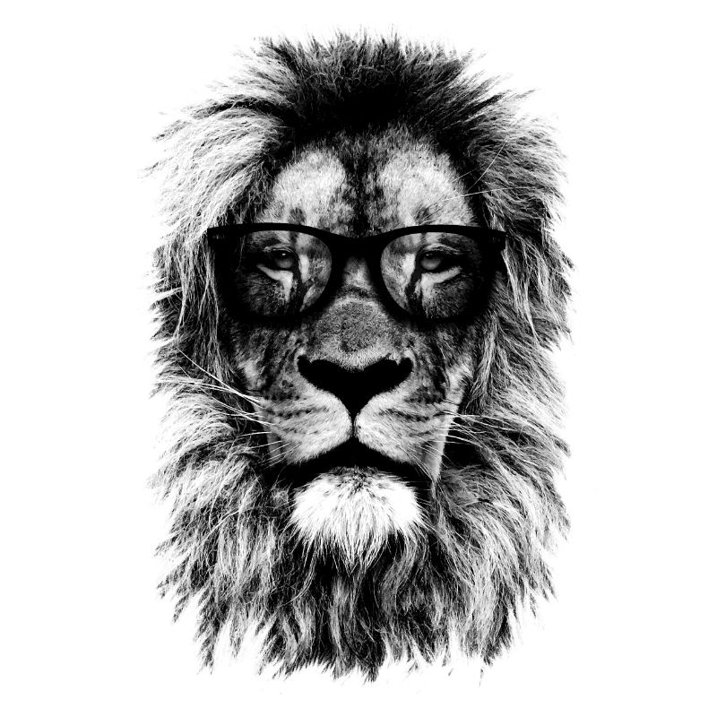 Hipster lion