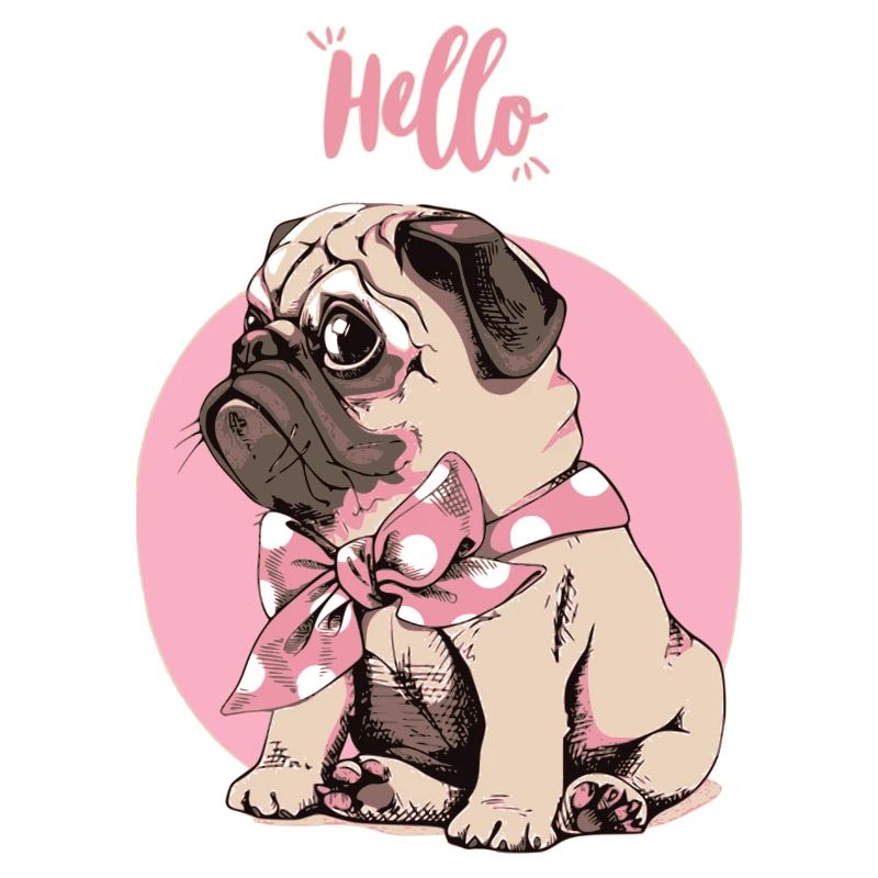 Sweet pug