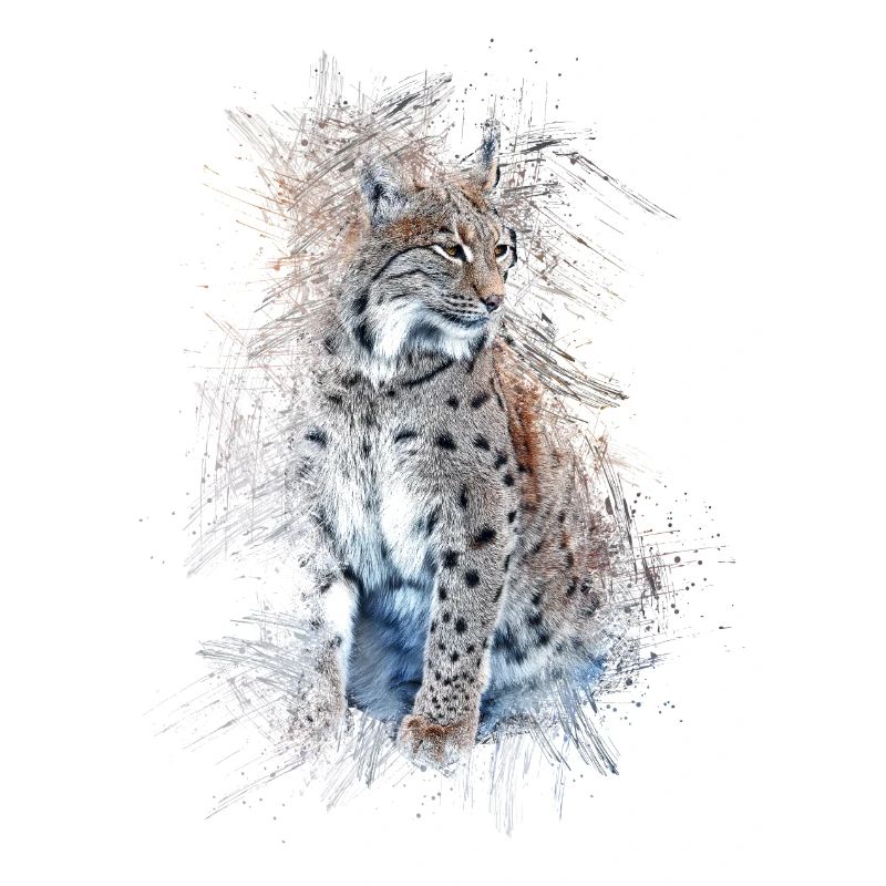 Luchs