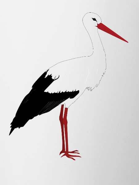 Storch steht