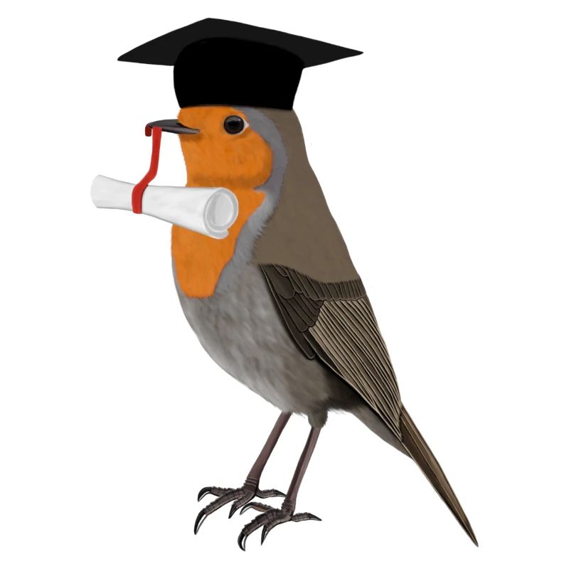 Oiseau célibataire