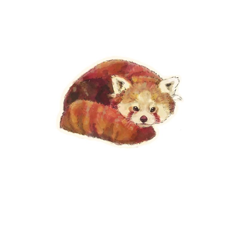 Kleiner roter Panda Katze Bär Red Panda