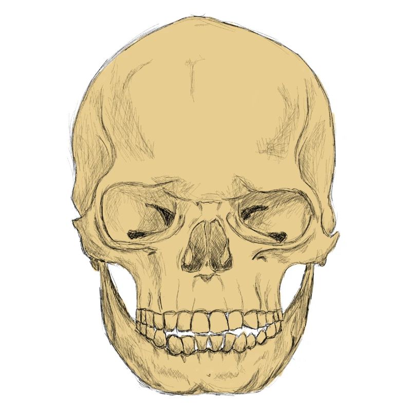 SkullPlain
