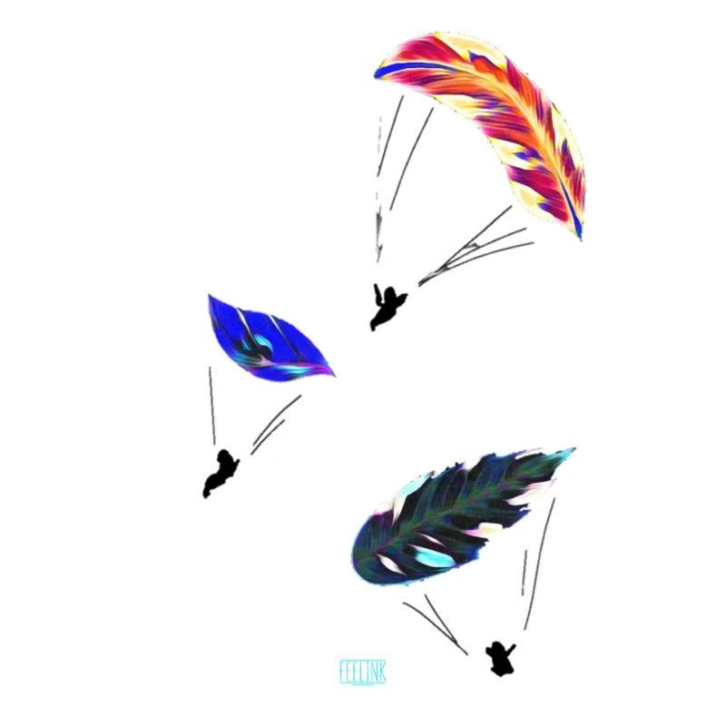 Gleitschirm paragliding Feder para