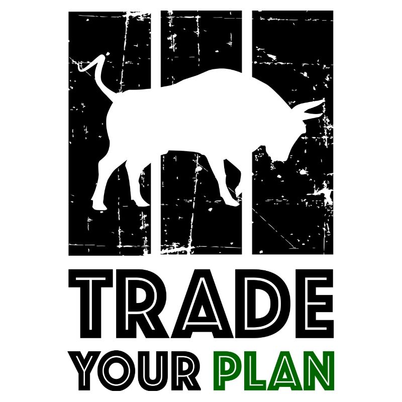 TRADE YOUR PLAN Bull Trader
