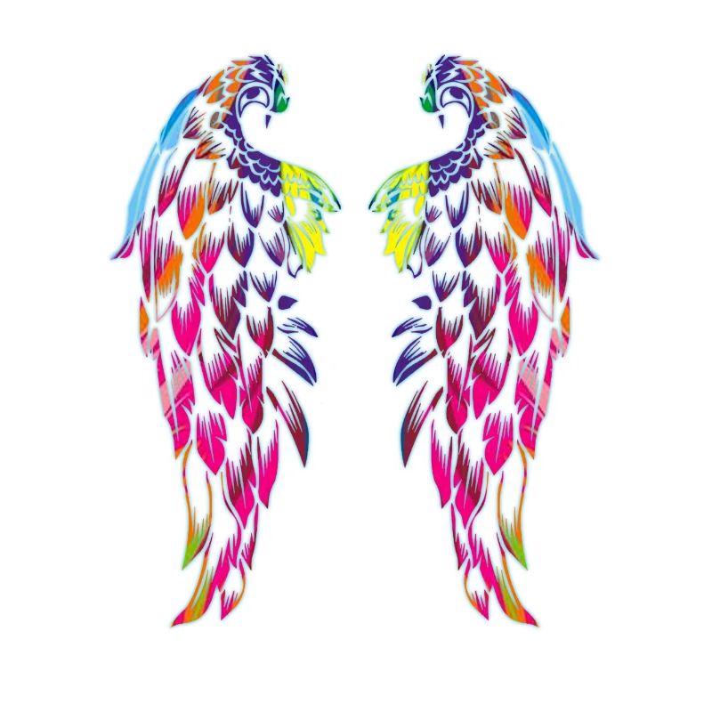 des ailes couleur