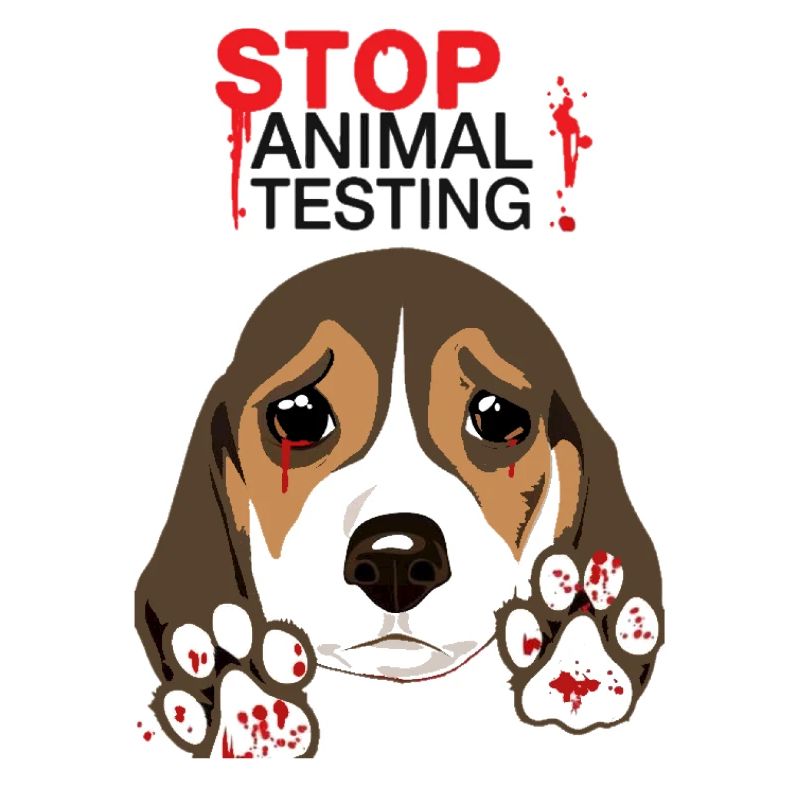 STOP ANIMAL TESTING