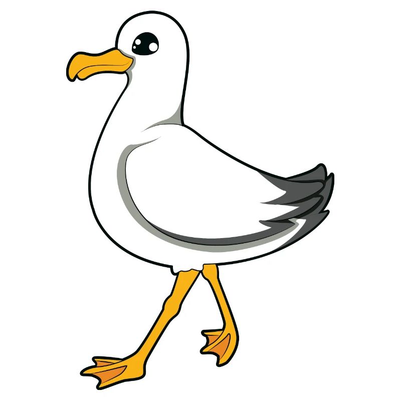 gull