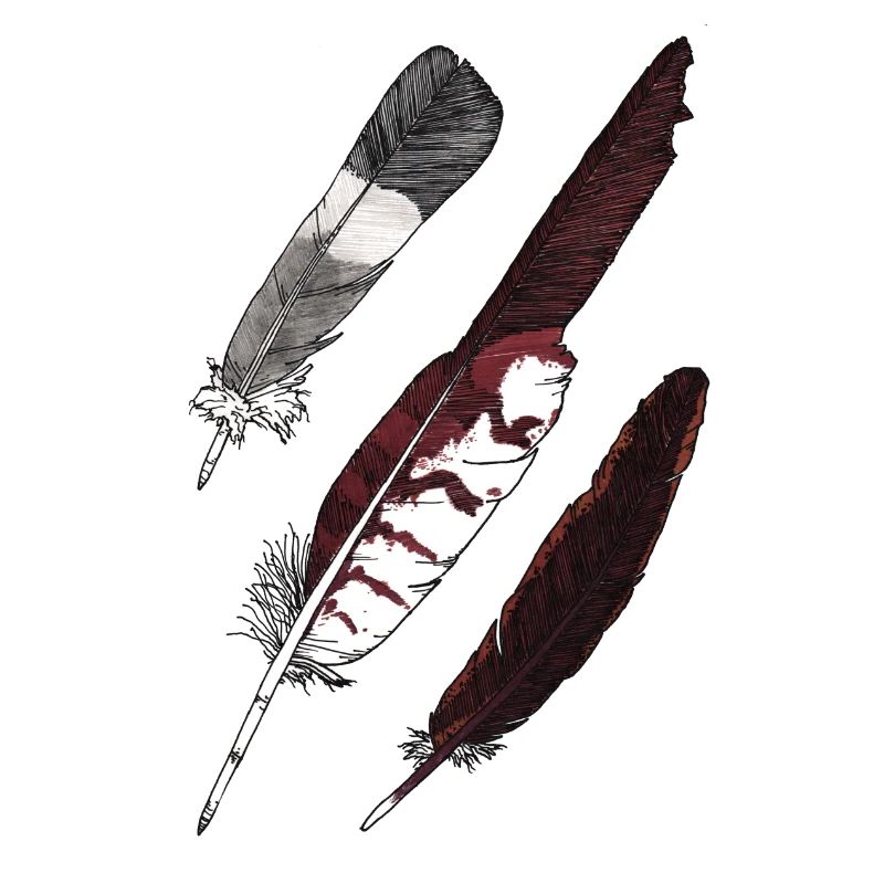 Feather Collection - Three Feathers Hand Drawn