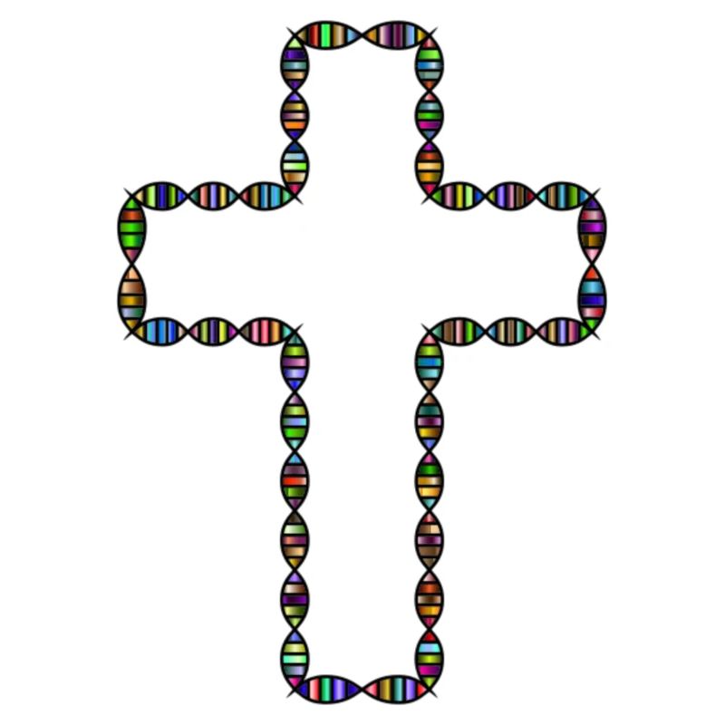 Cross Multicolor quotidien