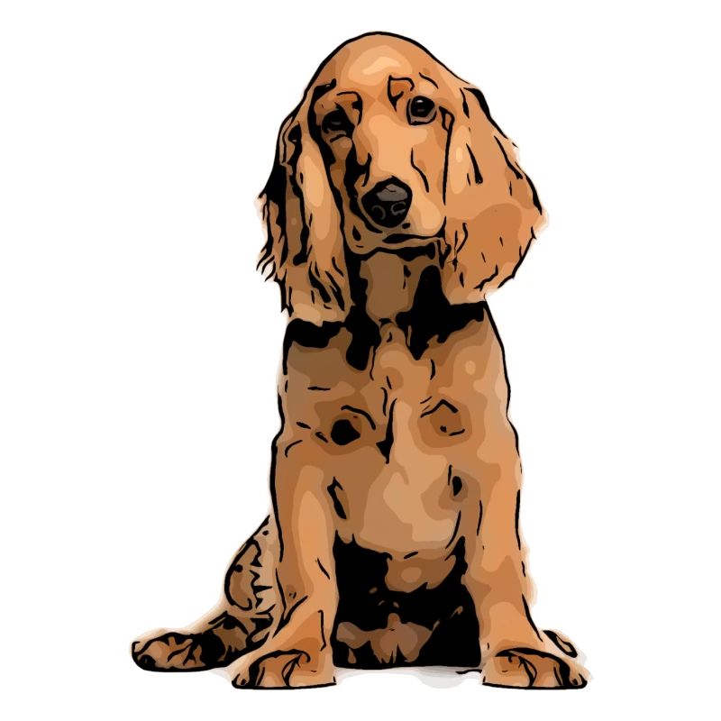 Cocker Spaniel Pet Design