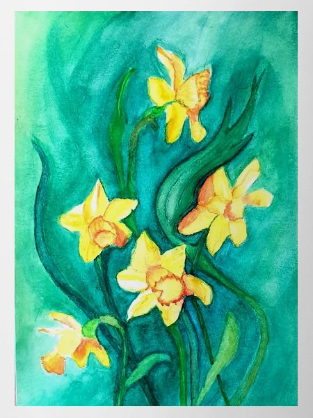 Daffodils