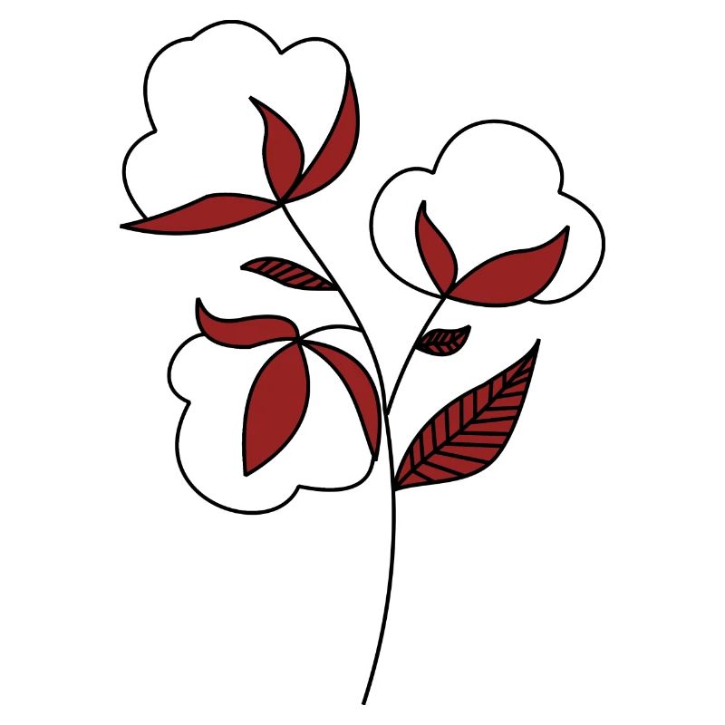 Fleur de coton