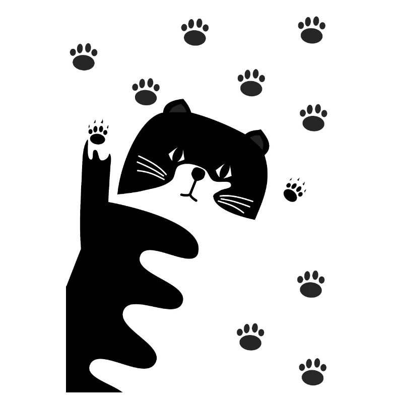 Chat noir et blanc