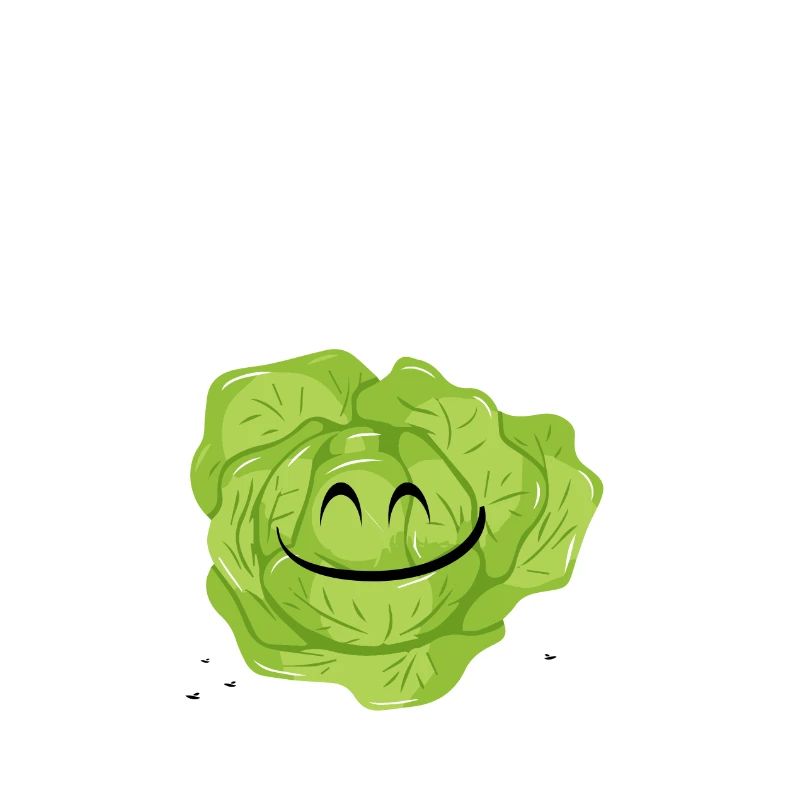 Vegetarischer Kopfsalat, Geschenk, Idee