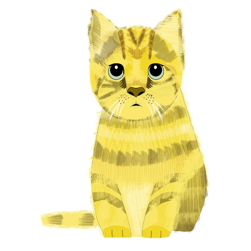 Chat fortune