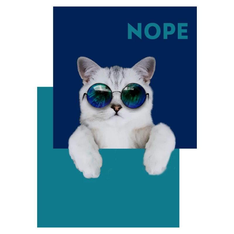 Cat Nope