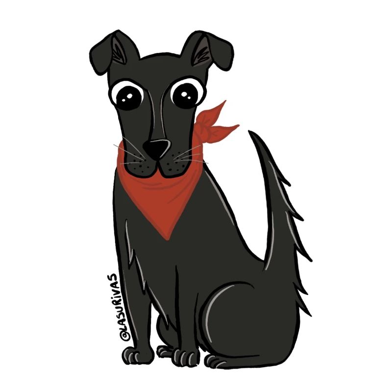 Negro Matapaco