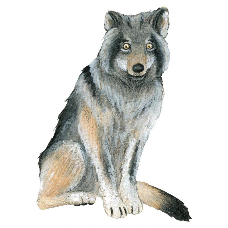 Loup