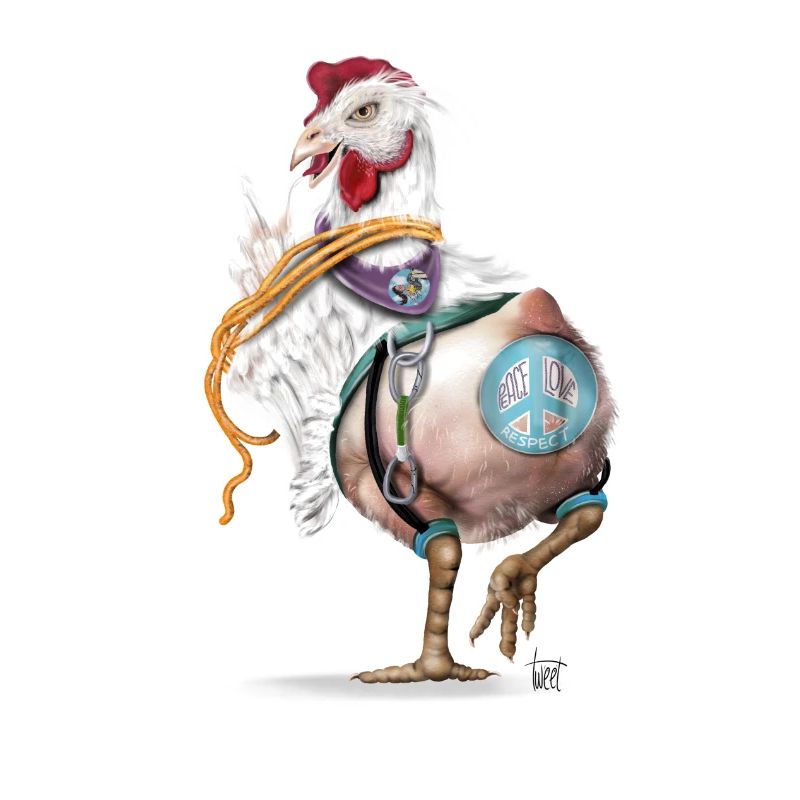Crazy chicken