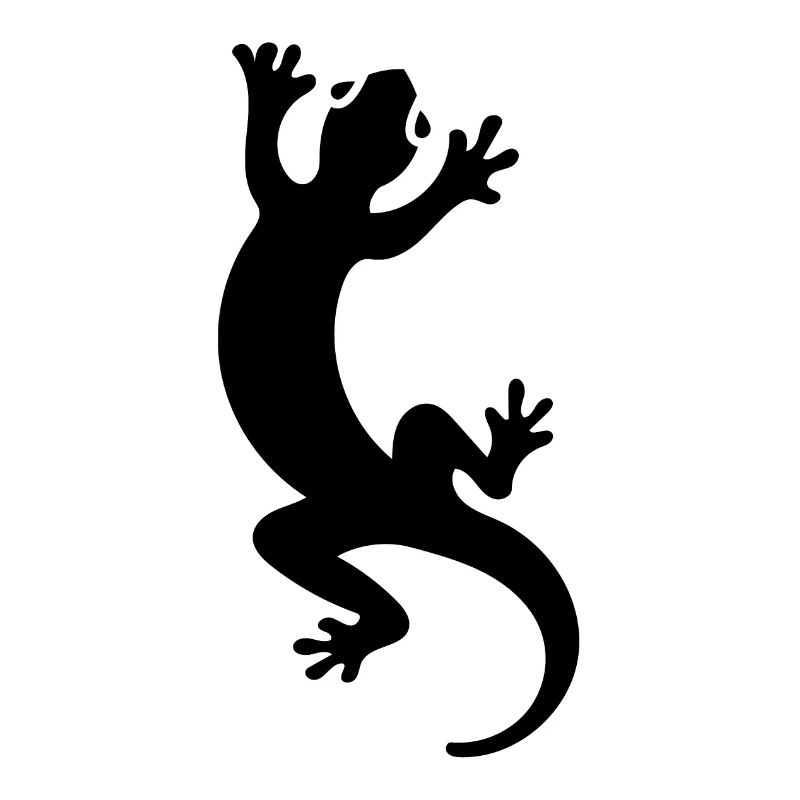 Salamander