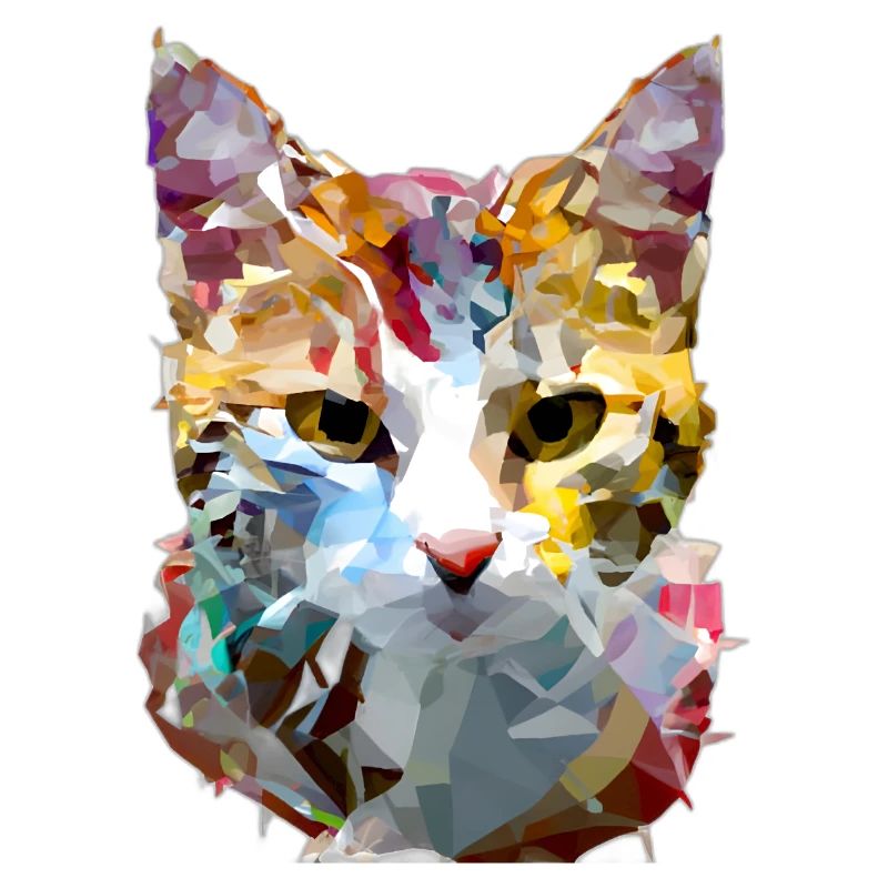 Abstract Polygon Geometric Cat