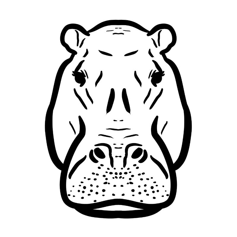 Hippopotame noir