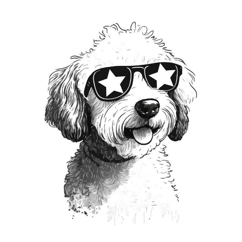 Cool Dog
