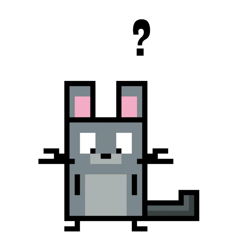 Chinchilla hat eine Frage