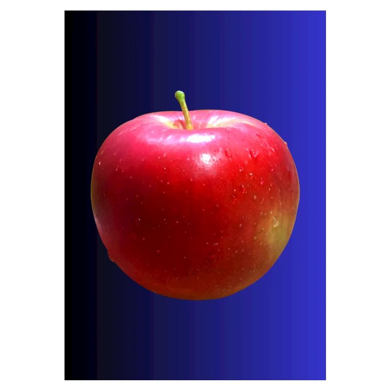 Apfel