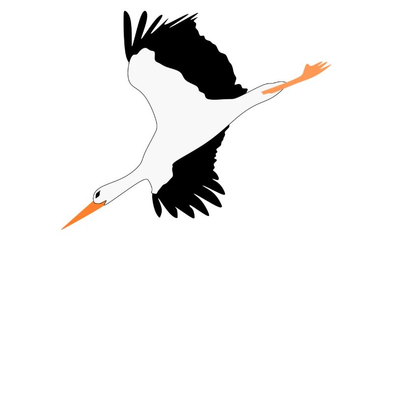 Cigogne, noir et blanc