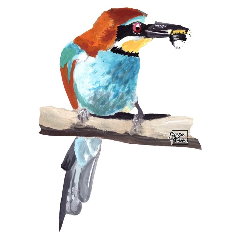 Bee-eater Couple Part 1