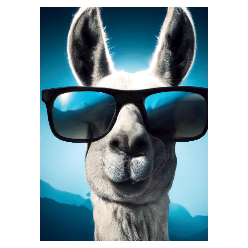 Lama mit Sonnenbrille