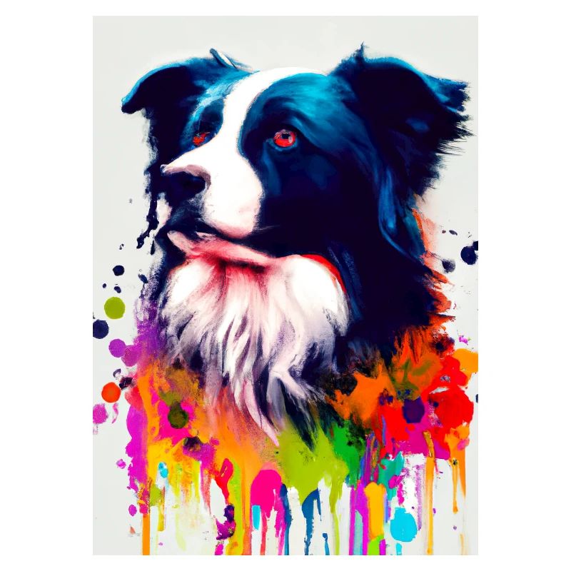 Bunter Border Collie