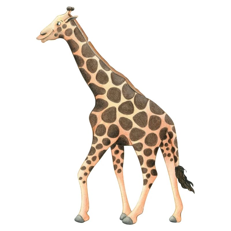 Girafe