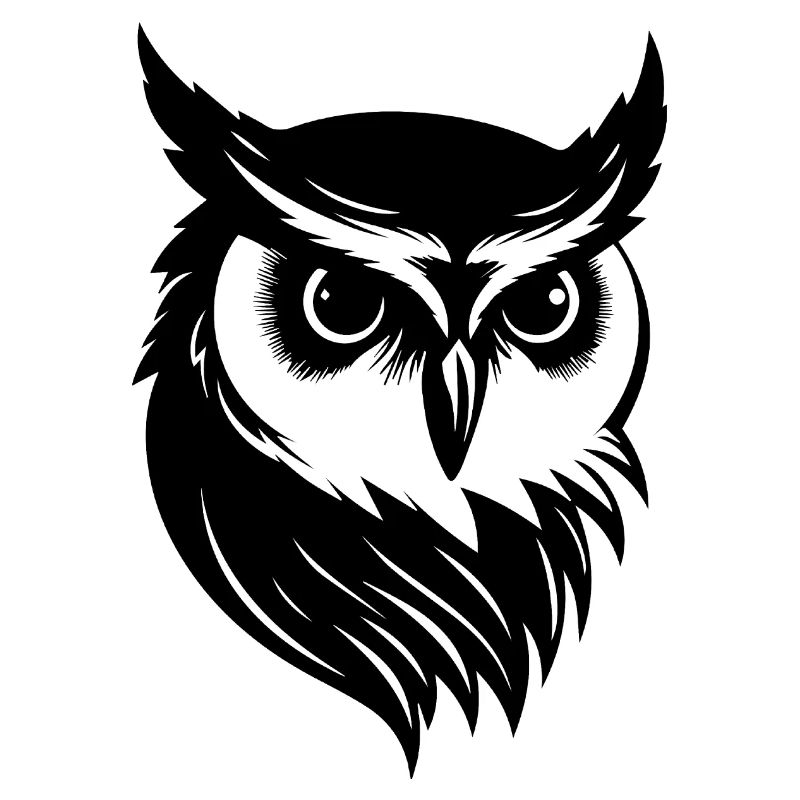 Eule Eulen Vogel Vögel
