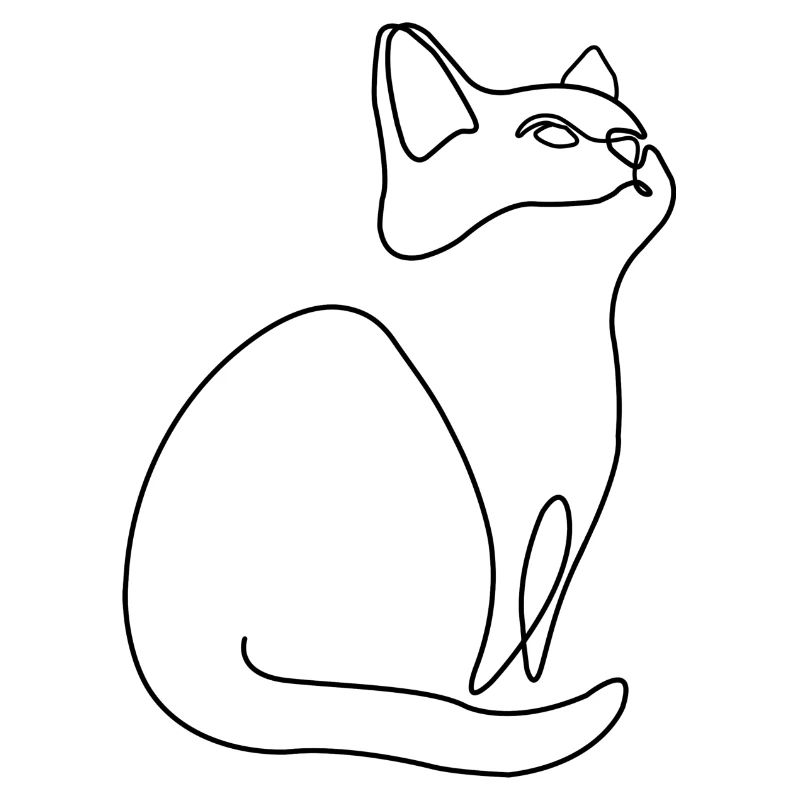 Kitten Cat Cat