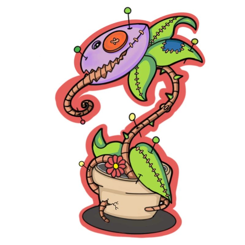 Voodoo Doll Carnivorous Plant
