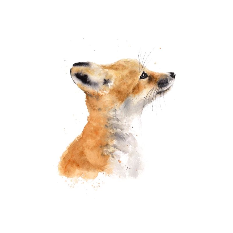 Fuchs