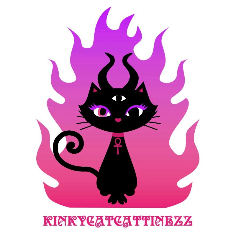 Chat Noir Enchanté
