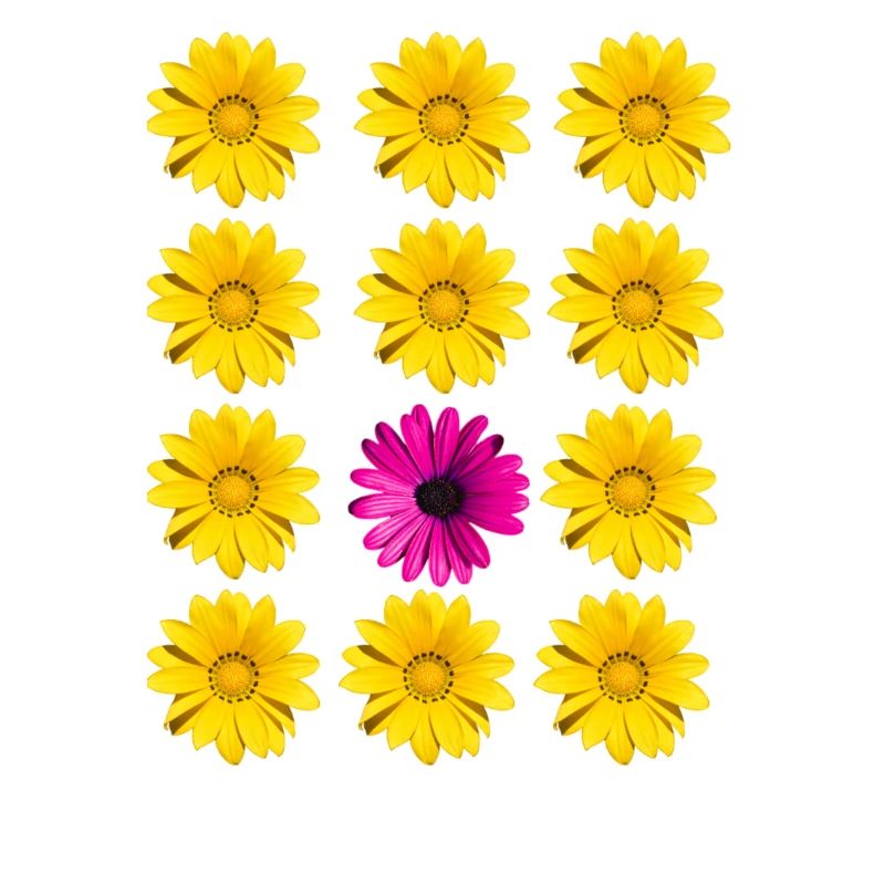 Blüten Blumen Botanik